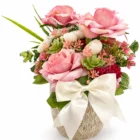 Rose Harmony